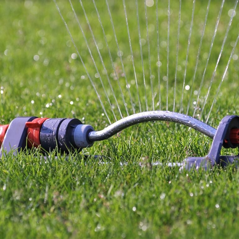 lawn-sprinkler-2366751_1280