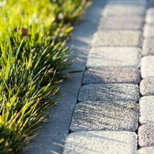 natural-grass-close-up