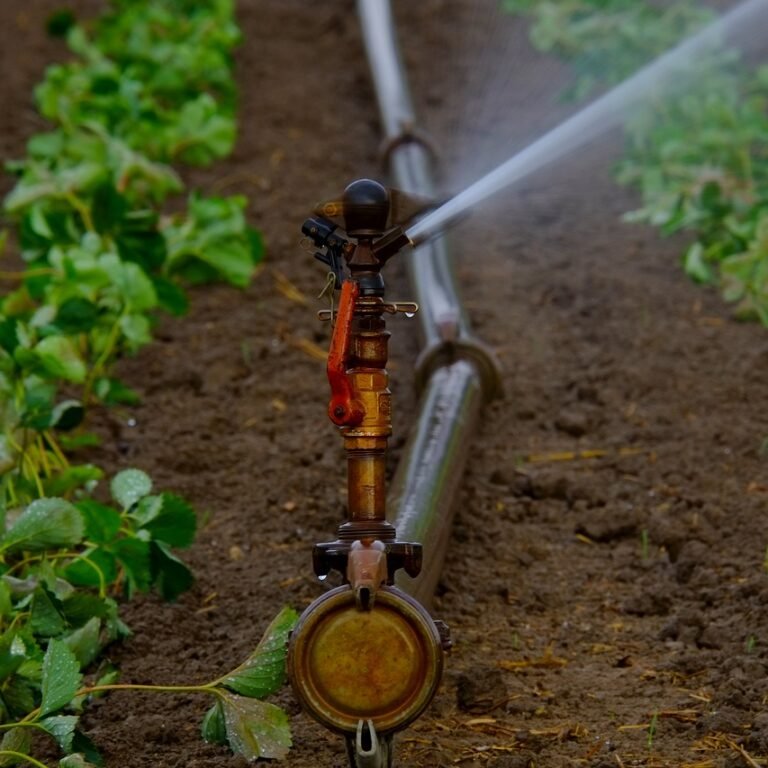 water-sprinkler-880970_1280