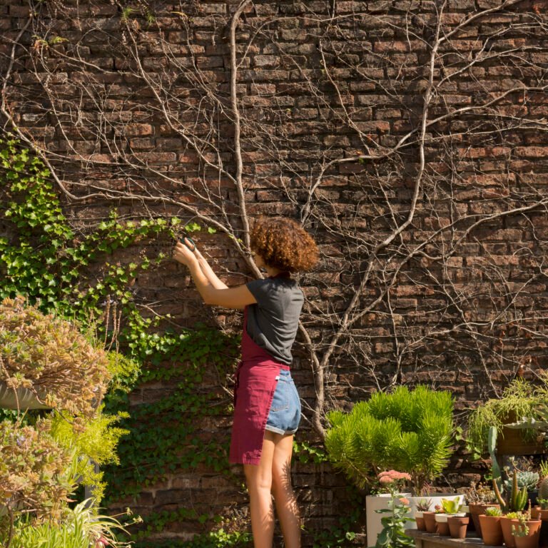 young-woman-taking-care-plants